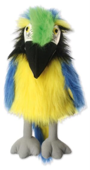 Blue & Gold Macaw - Large Birds