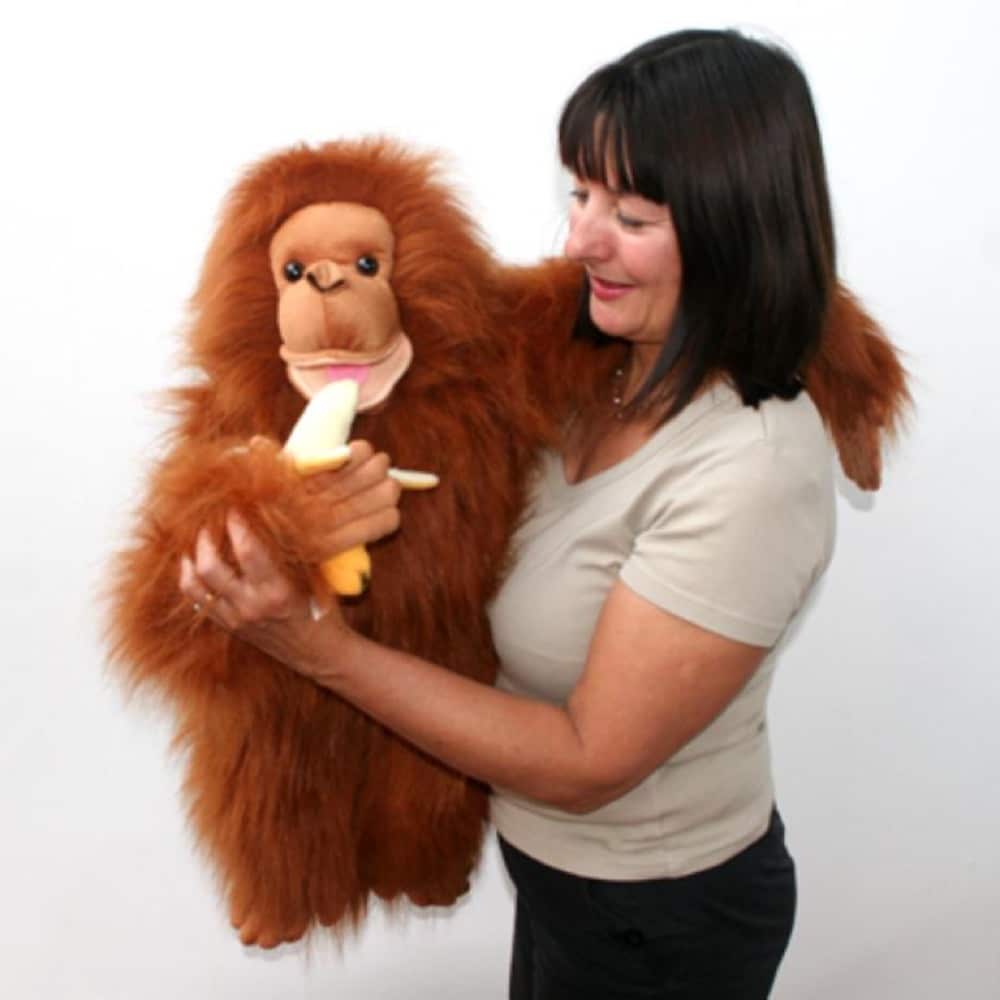 Orangutan - Large Primates