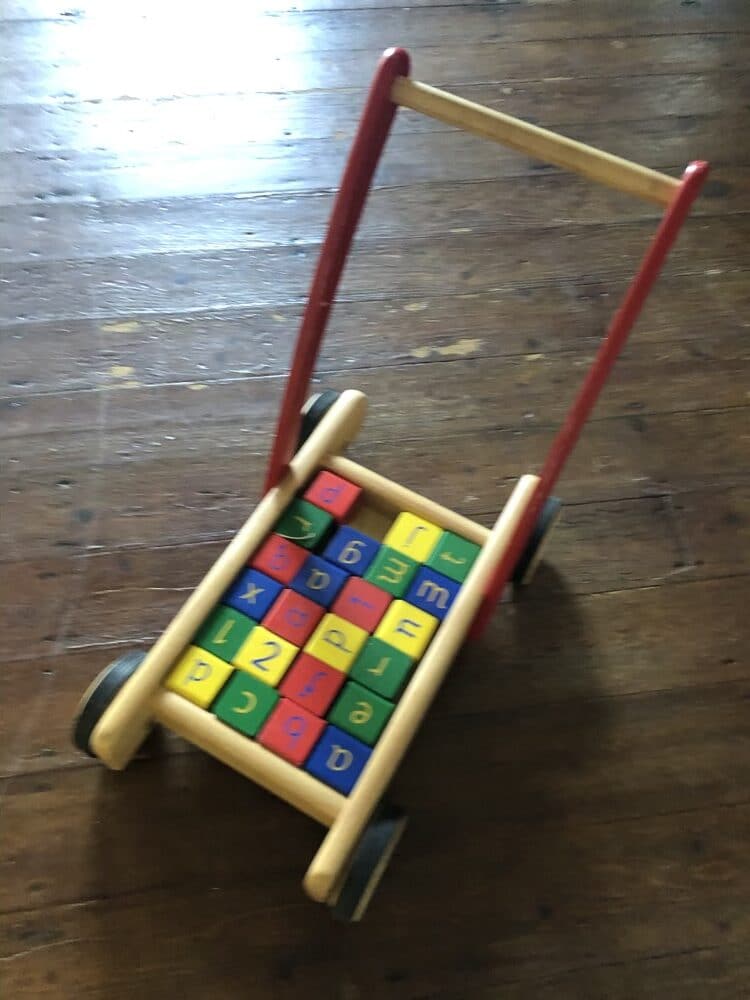 Baby Walker with Bricks (1)