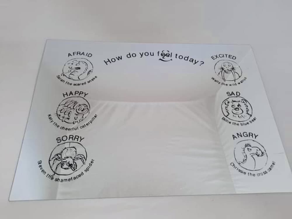 Feelings and Emotions Mirror