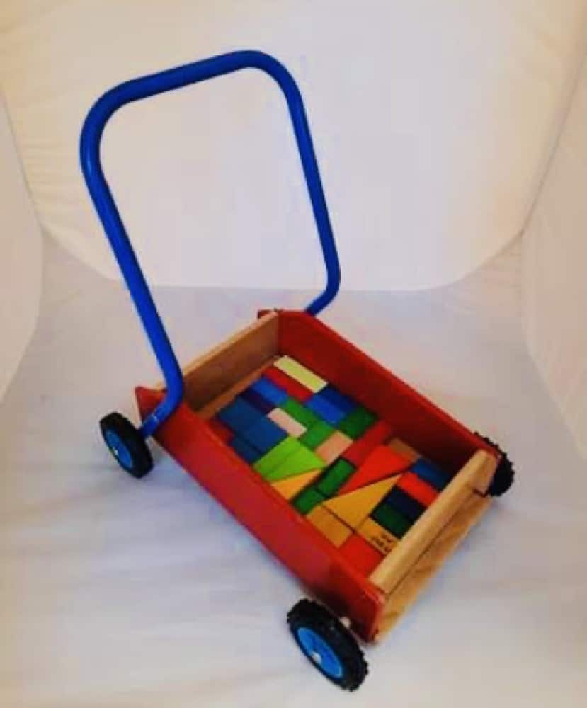 Baby Walker with Bricks (4)