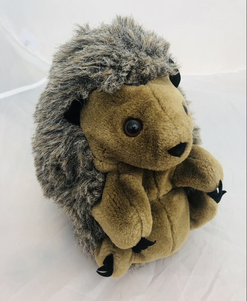 Hedgehog - European Wildlife