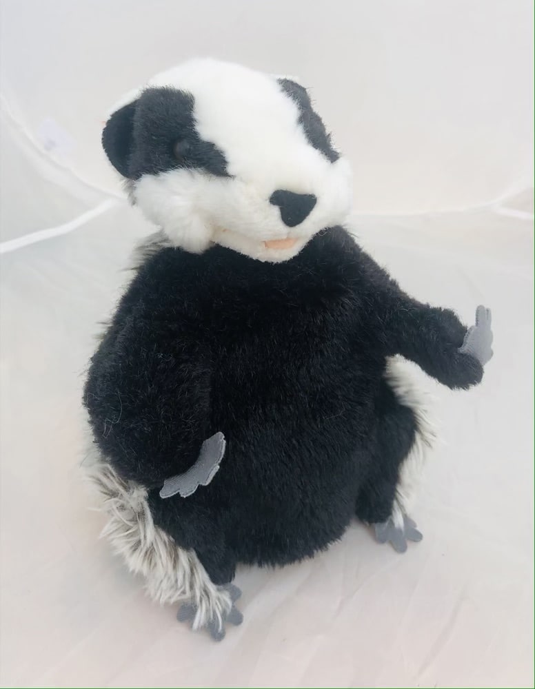 Badger - European Wildlife