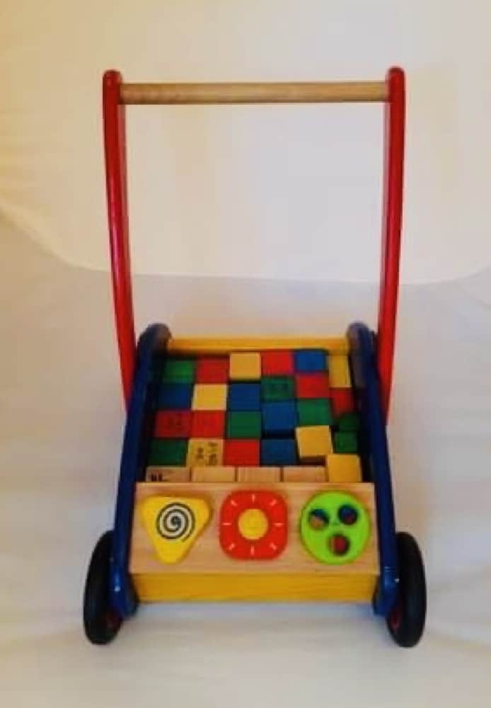 Baby Walker with Bricks (2)